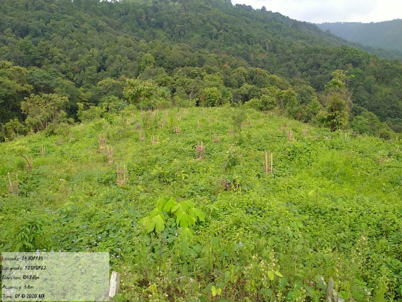 C:\Users\Lavinia Pde\Downloads\WhatsApp Image 2023-02-02 at 10.17.02.jpeg